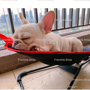 Portable Rocking Chair for French Bulldog