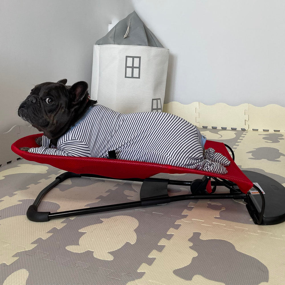 Portable Rocking Chair for French Bulldog – CINNEPro