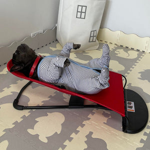 Portable Rocking Chair for French Bulldog