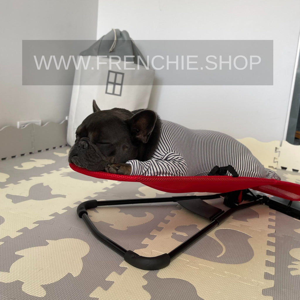 Portable Rocking Chair for French Bulldog