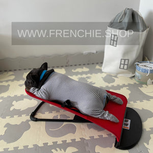 Portable Rocking Chair for French Bulldog