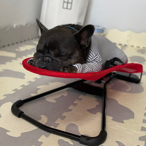 Portable Rocking Chair for French Bulldog