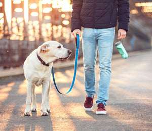 Portable Pet Dog Water Bottle